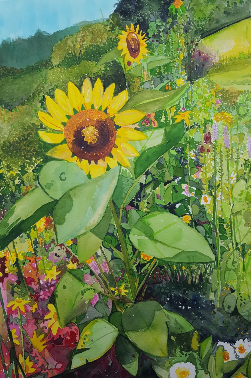 12-sunflowers